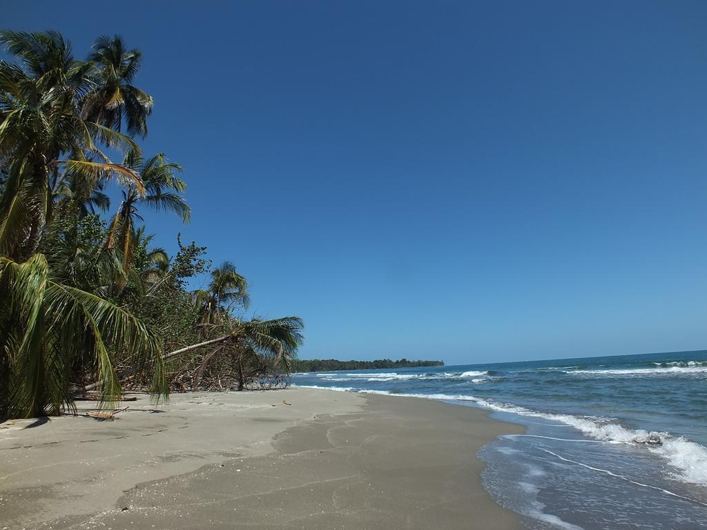 Cabinas Caribe Luna Cahuita Exterior photo
