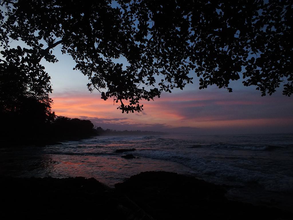 Cabinas Caribe Luna Cahuita Exterior photo