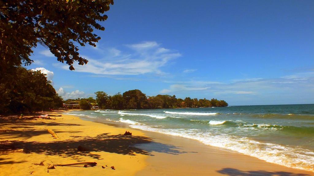 Cabinas Caribe Luna Cahuita Exterior photo